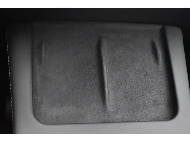 Tesla Model Y Long Range AWD 75 kWh 2021 Elektrisch 33
