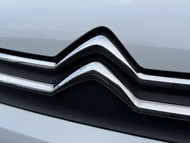 Citroën C3 1.2 PureTech S&S Feel 2019 Benzine 36