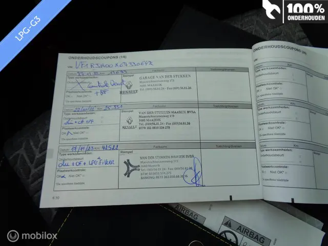 Renault Clio 1.0 TCe Bi-Fuel Intens 2021 LPG/Gas 20