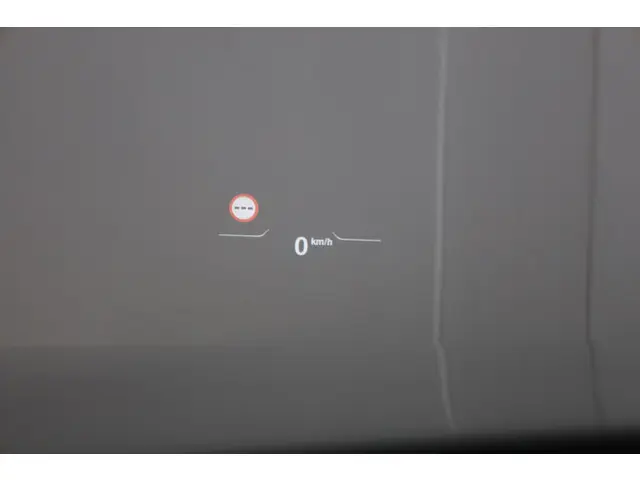 BMW Z4 Roadster sDrive20i 2019 Benzine 14