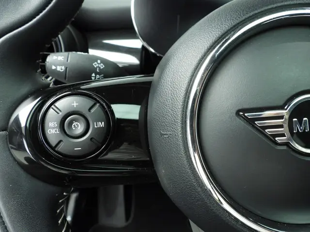 MINI Electric 3-deurs SE 2020 Elektrisch 12