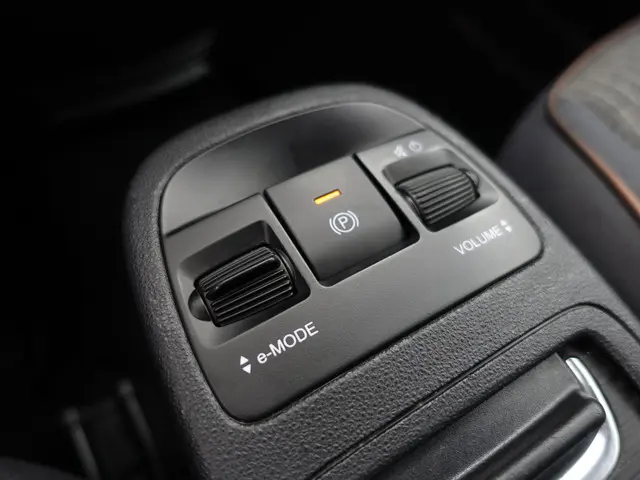 Fiat 500 Icon 42 kWh Aut- 2020 Elektrisch 11