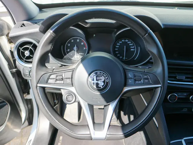 Alfa Romeo Stelvio 2.0 T AWD 2018 Benzine 16