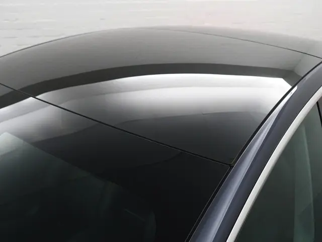 Tesla Model 3 Long Range AWD 75 kWh- 2019 Elektrisch 3