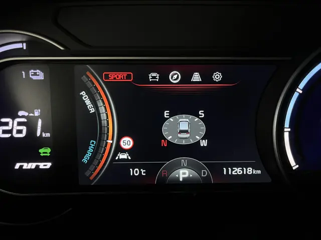 Kia e-Niro ExecutiveLine 64 kWh 2021 Elektrisch 44