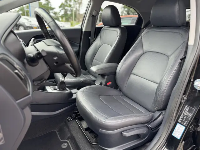 Kia Rio 1.2 CVVT World Cup Edition 2014 Benzine 21