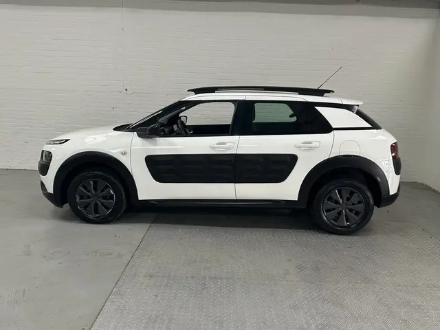 Citroën C4 Cactus 1.6 BlueHDi Business 2015 Diesel 3