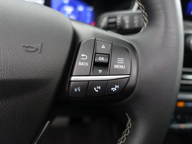 Ford Kuga 2.5 PHEV Vignale Aut- 2021 Hybride Benzine 22