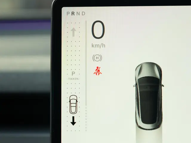 Tesla Model 3 RWD 60 kWh 2024 Elektrisch 45