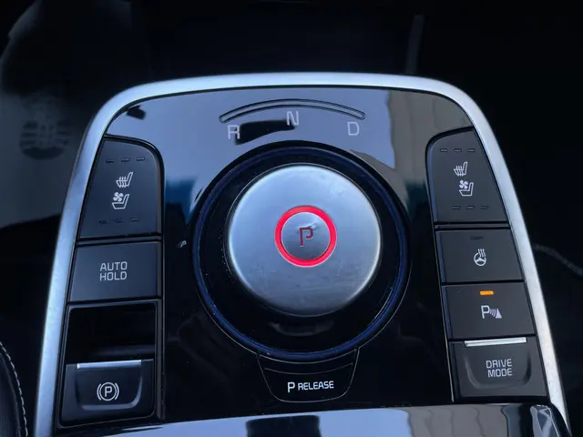 Kia e-Niro ExecutiveLine 64 kWh 2019 Elektrisch 19