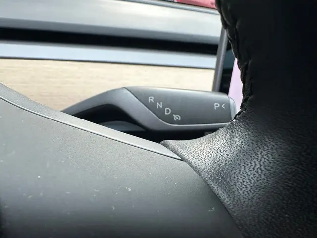 Tesla Model 3 Standard RWD Plus 60 kWh 2019 Elektrisch 16