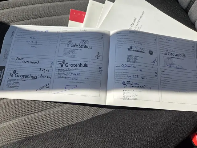 Fiat Punto Evo 0.9 TA Sempre 2017 Benzine 17