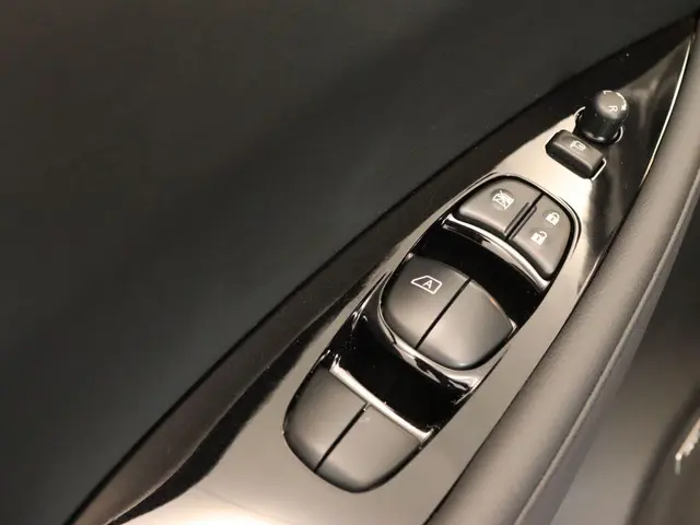 Nissan Leaf e+ Tekna 62 kWh 2019 Elektrisch 20
