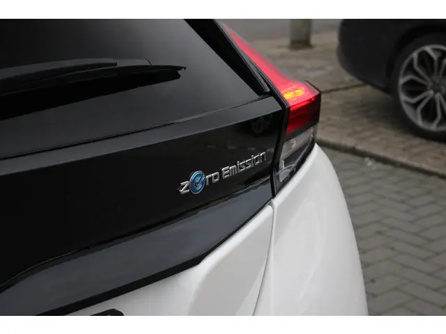 Nissan Leaf e+ Tekna 62 kWh 2020 Elektrisch 7