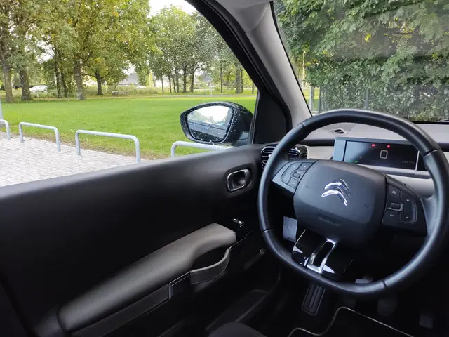 Citroën C4 Cactus 1.2 PureTech Origins 2019 Benzine 20