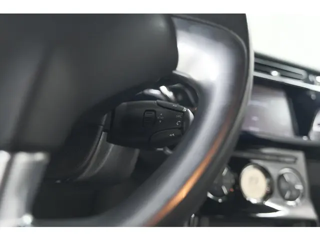 DS DS 3 PureTech 110 So Chic 2017 Benzine 15