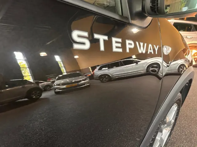 Dacia Sandero Stepway 0.9 TCe SL 2019 Benzine 14