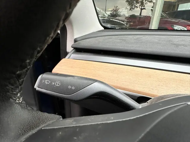 Tesla Model 3 Standard RWD Plus 60 kWh 2020 Elektrisch 16