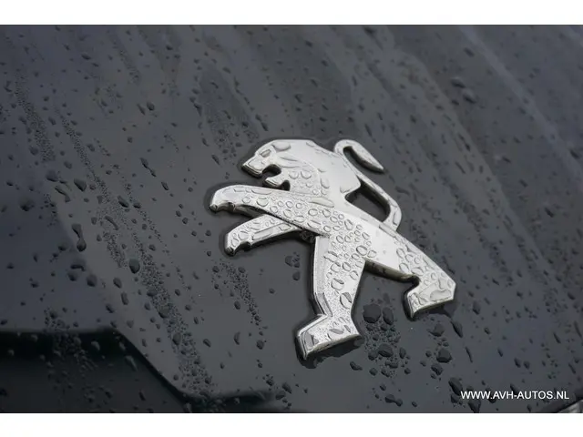 Peugeot 308 SW 1.2 e-THP Première 2014 Benzine 9