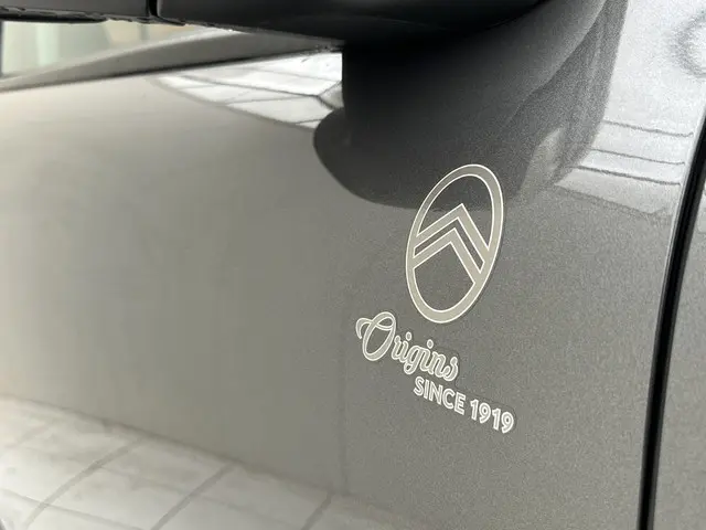 Citroën C4 Cactus PureTech 110 Origins 2020 Benzine 31