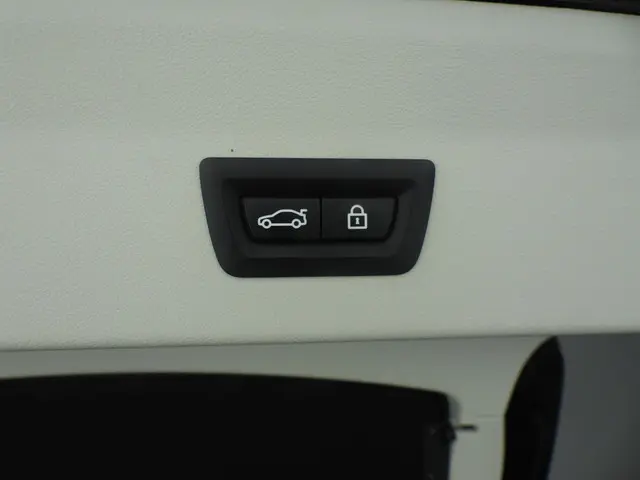 BMW X4 xDrive30i 2019 Benzine 39