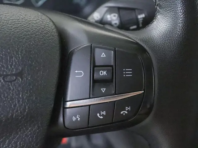 Ford Transit 290 2.0 TDCI L2H2 Trend 2024 Diesel 17