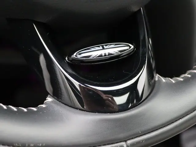MINI Electric Yours 2020 Elektrisch 21