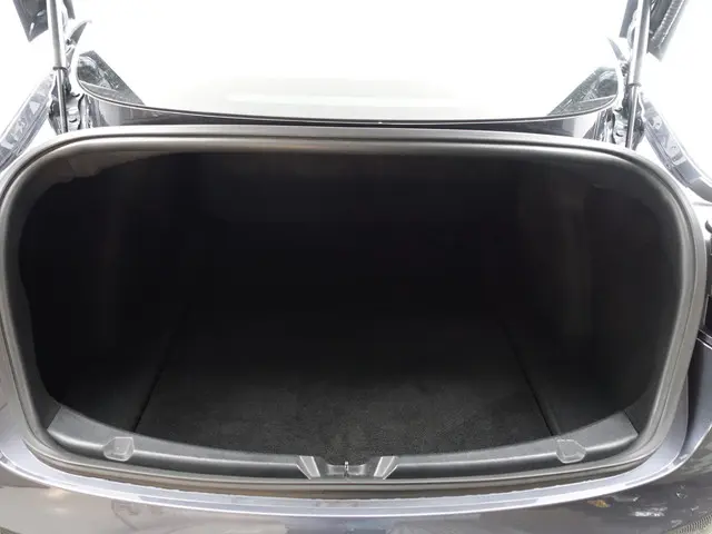 Tesla Model 3 Long Range AWD 75 kWh- 2019 Elektrisch 26