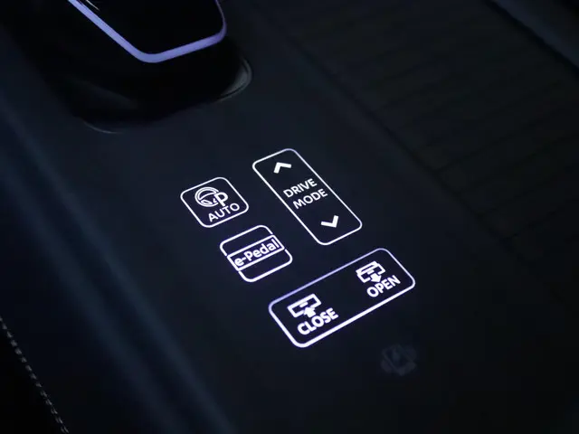 Nissan ARIYA 66 kWh Evolve 2023 Elektrisch 36