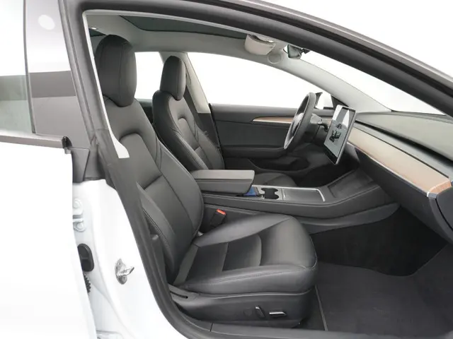 Tesla Model 3 Long Range RWD 75 kWh 2023 Elektrisch 45