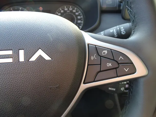 Dacia Sandero Stepway 1.1 TCe 110 Extreme 2025 Benzine 21