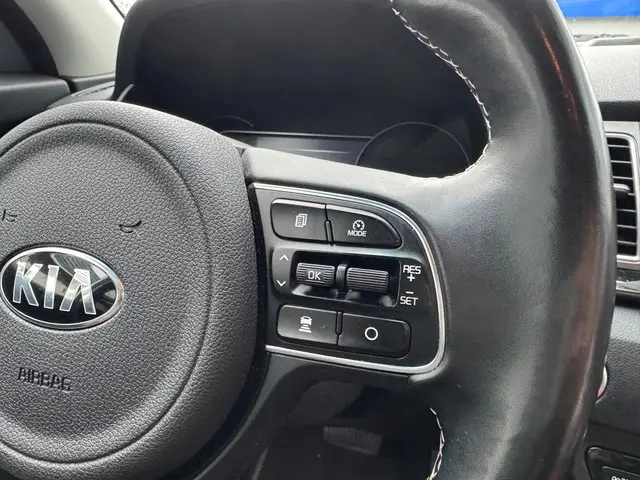 Kia e-Niro ExecutiveLine 64 kWh 2019 Elektrisch 11