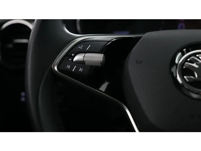 Škoda Fabia 1.0 TSI 115pk Selection DSG 2024 Benzine 23