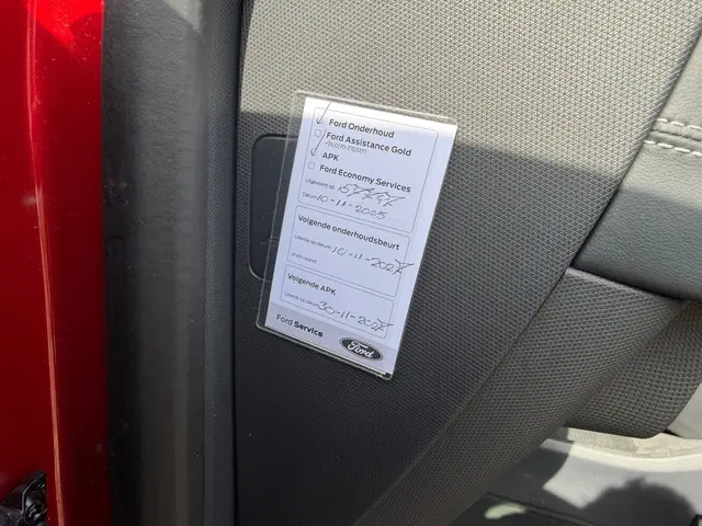 Ford Mustang Mach-E RWD 75 kWh | SOH 92% 2021 Elektrisch 14