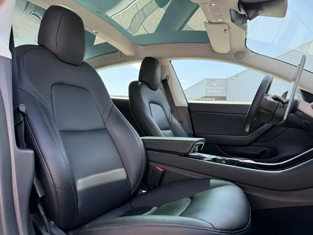Tesla Model 3 Long Range AWD Dual 2019 Elektrisch 12