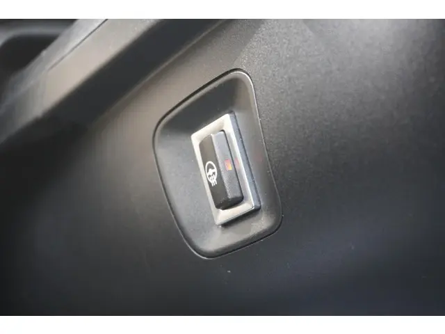 BMW 3 Serie Touring 320i 2018 Benzine 20