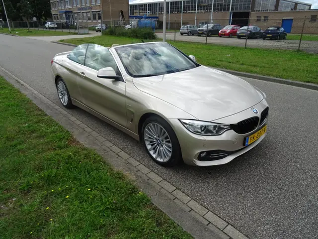 BMW 4 Serie Cabrio 420d High Executive 2014 Diesel 15