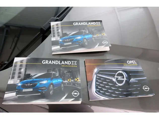 Opel Grandland X 1.2 Turbo 120 Jaar Edition 2019 Benzine 30