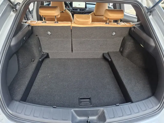 Lexus UX 300h Business Line 2025 Hybride Benzine 25