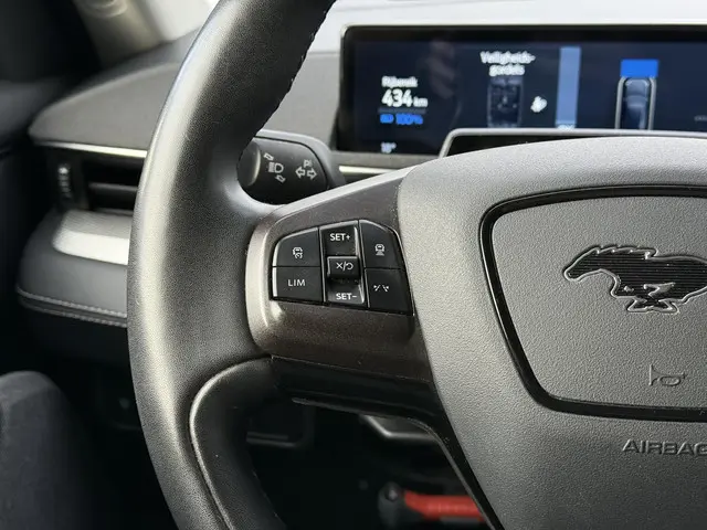 Ford Mustang Mach-E RWD 75 kWh 2021 Elektrisch 20