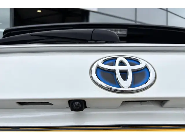 Toyota RAV4 2.5 Hybrid AWD Bi-Tone 2019 Hybride Benzine 47