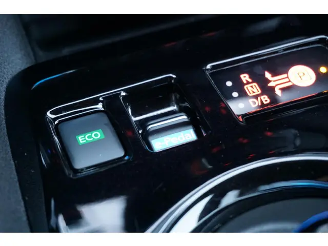 Nissan Leaf Tekna 39 kWh 2024 Elektrisch 30