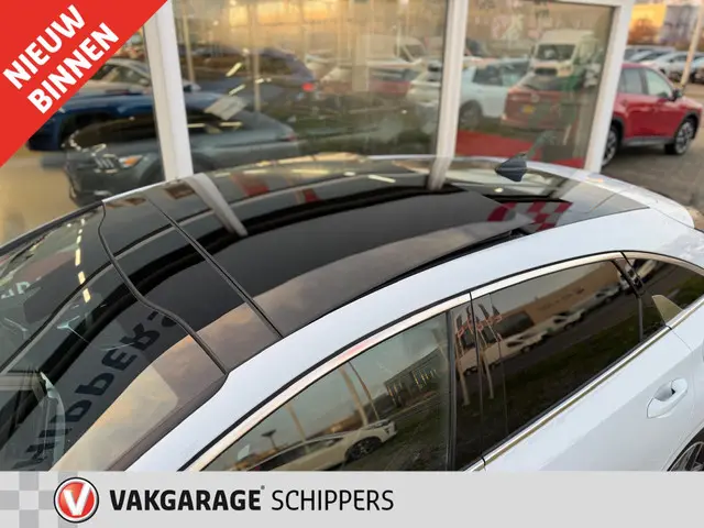 Kia ProCeed 1.0 T-GDI GT-Line Edition 2020 Benzine 42