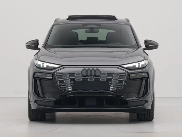 Audi SQ6 e-tron SQ6 100 kWh 2024 Elektrisch 8