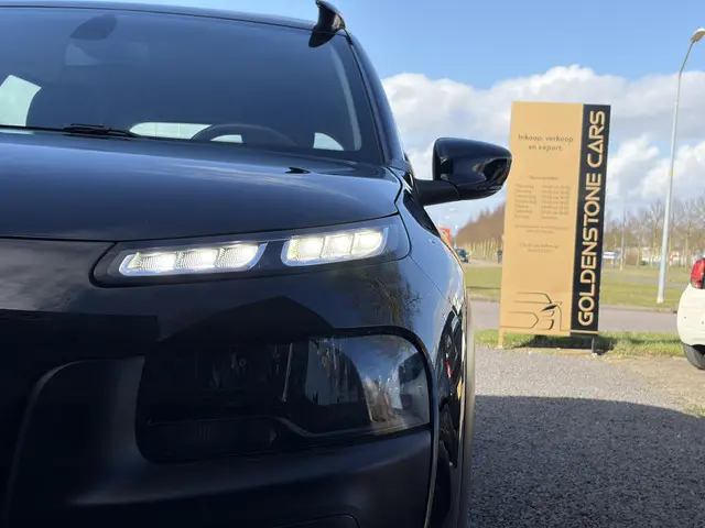 Citroën C4 Cactus 1.2 PureTech Business 2016 Benzine 30