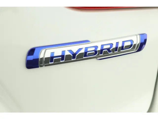 Suzuki Ignis 1.2 Smart Hybrid Style 2024 Benzine 42