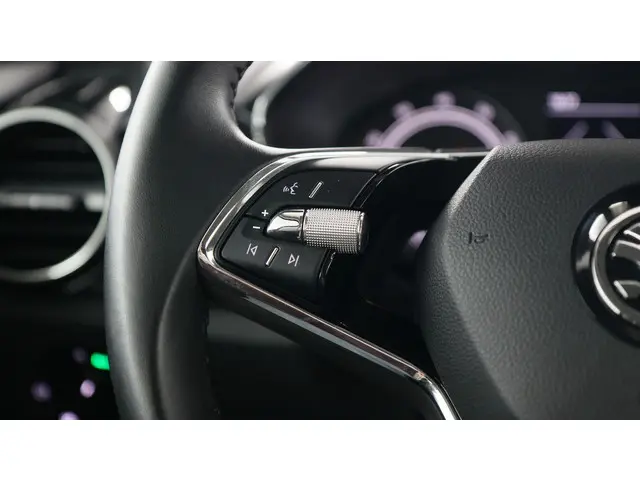 Škoda Fabia 1.0 MPI 80pk Ambition 2023 Benzine 21