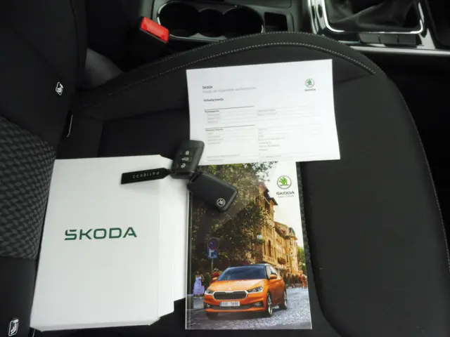 Škoda Fabia 1.0 TSI Business Edition 2023 Benzine 35