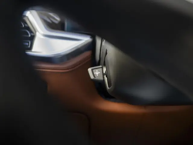 BMW X5 xDrive50e 2024 Hybride Benzine 74