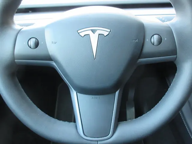 Tesla Model Y RWD 58 kWh 2023 Elektrisch 14